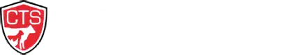 CTS Indonesia