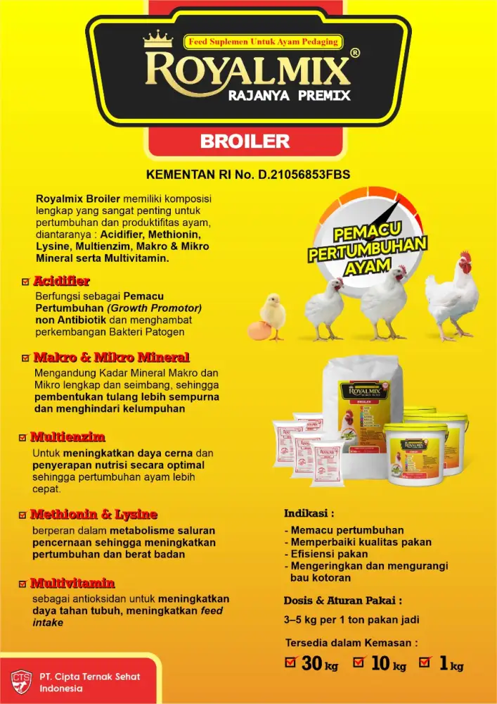 Roya Premix Boiler